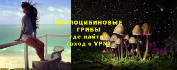 сатива Алексин