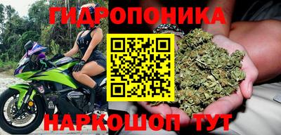 сатива Краснодар