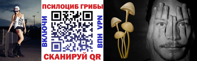 Псилоцибиновые грибы Psilocybine cubensis Лабинск