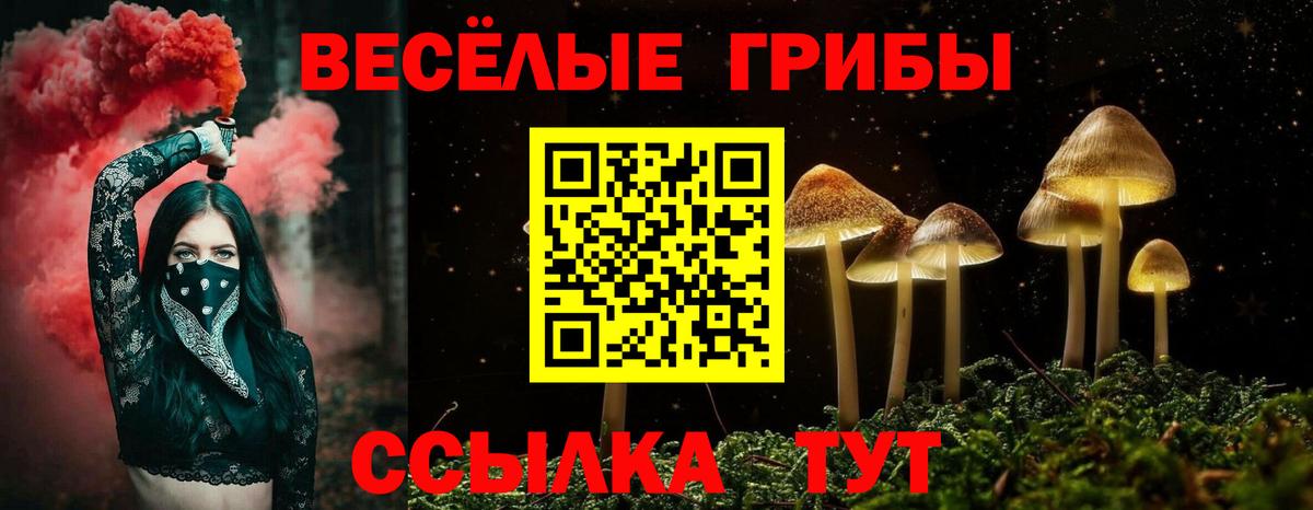 Псилоцибиновые грибы Psilocybine cubensis  Вход с VPN  Лабинск  Галлюциногенные грибы прущие грибы 